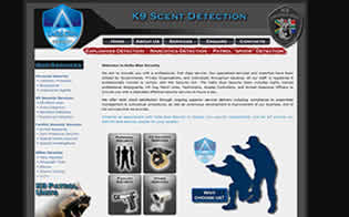 Personal and Commercial Security Website