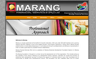 Financial Services Information Based Website