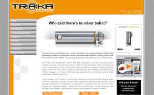 Professional Business Website