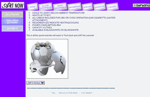 E-Commerce Enabled Wesbite